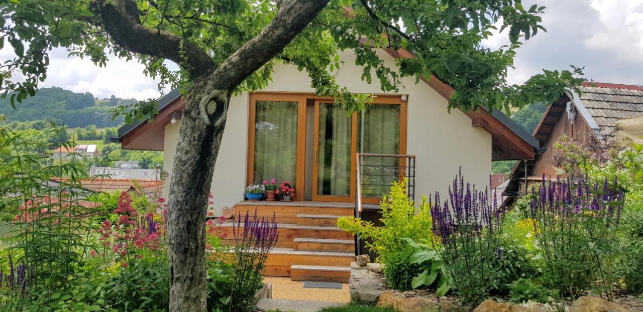 Villa Domcek V Zahrade à Banská Štiavnica Extérieur photo
